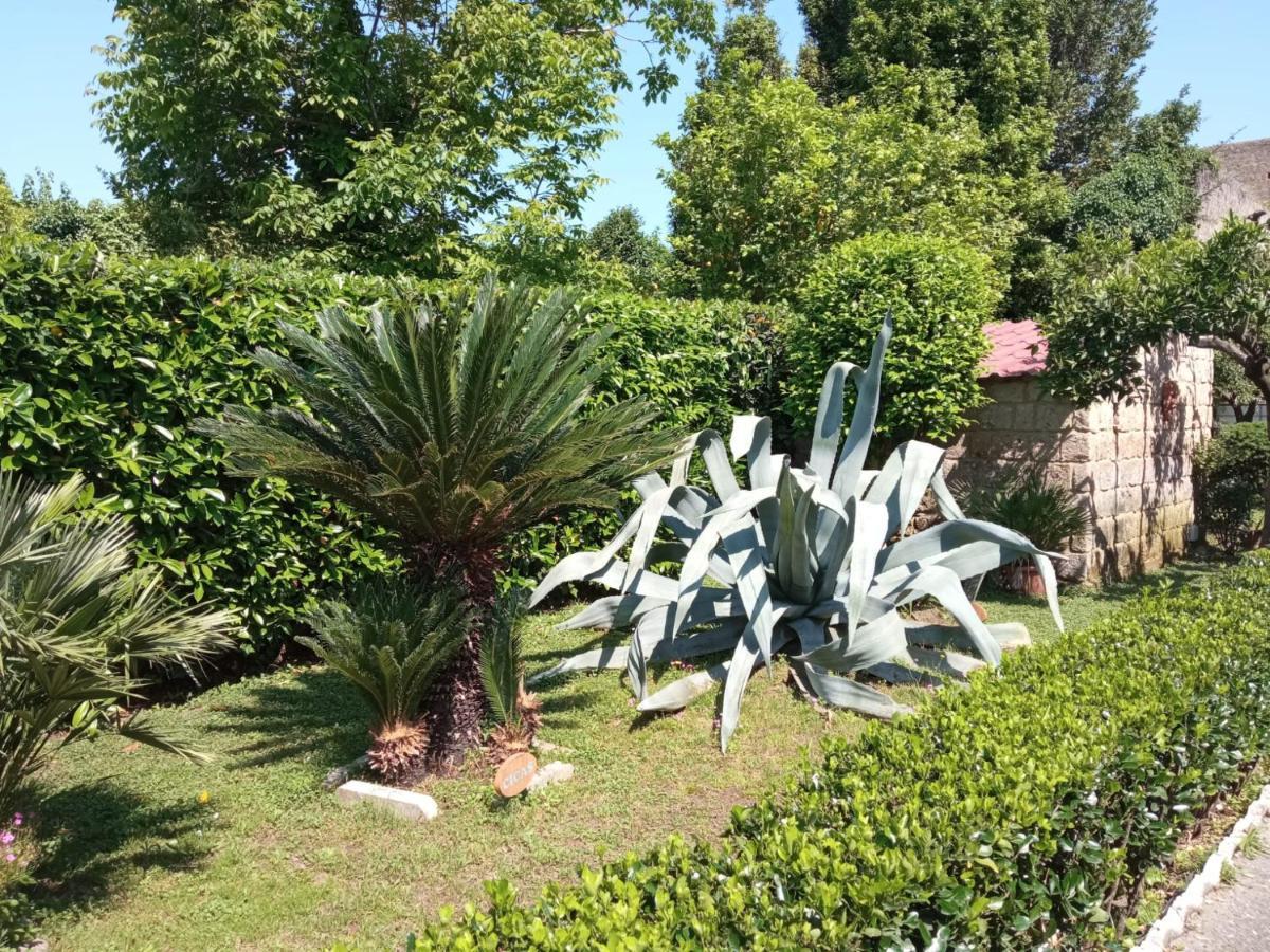 Il Giardino Degli Agrumi Казерта Экстерьер фото