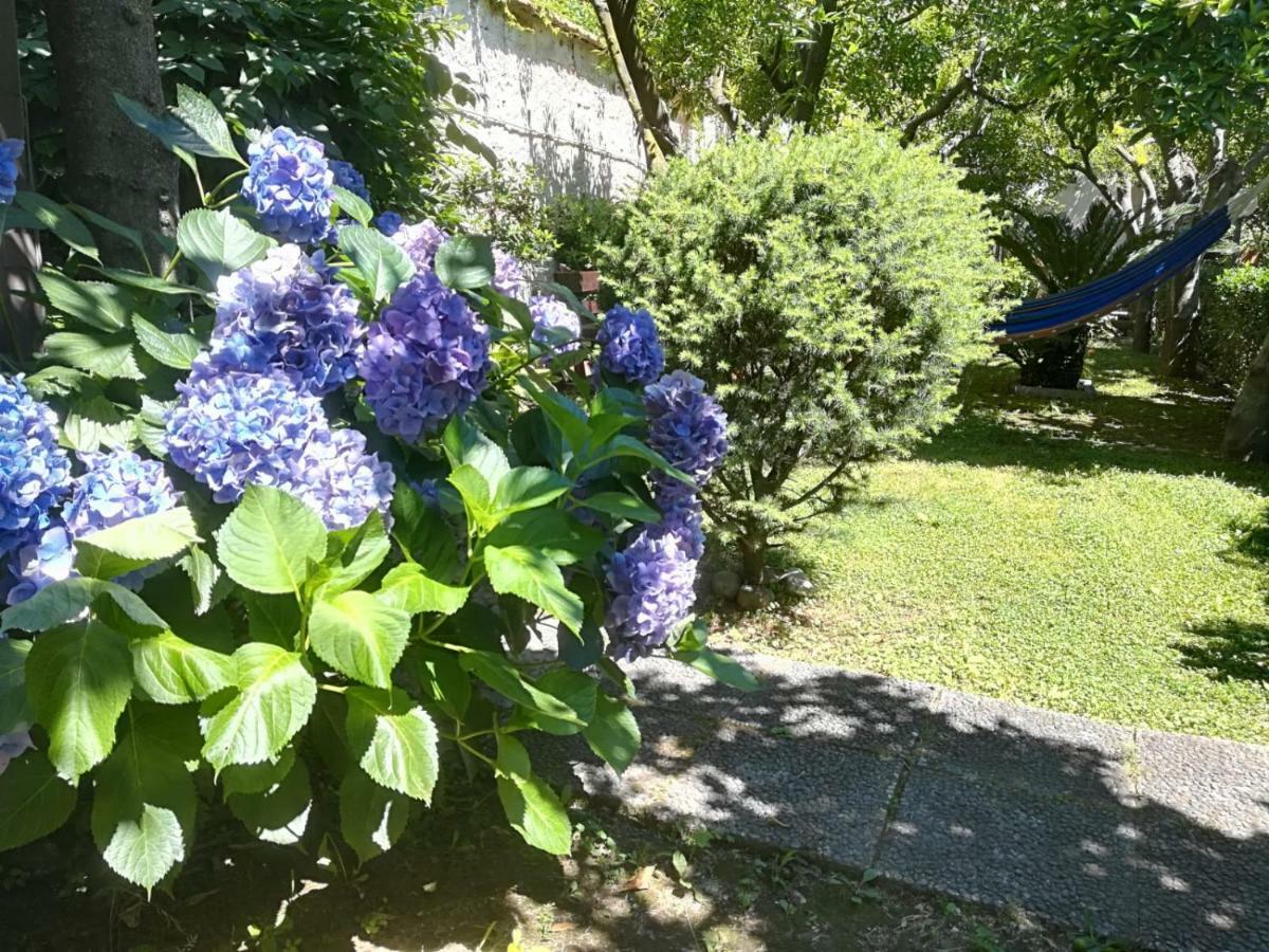 Il Giardino Degli Agrumi Казерта Экстерьер фото