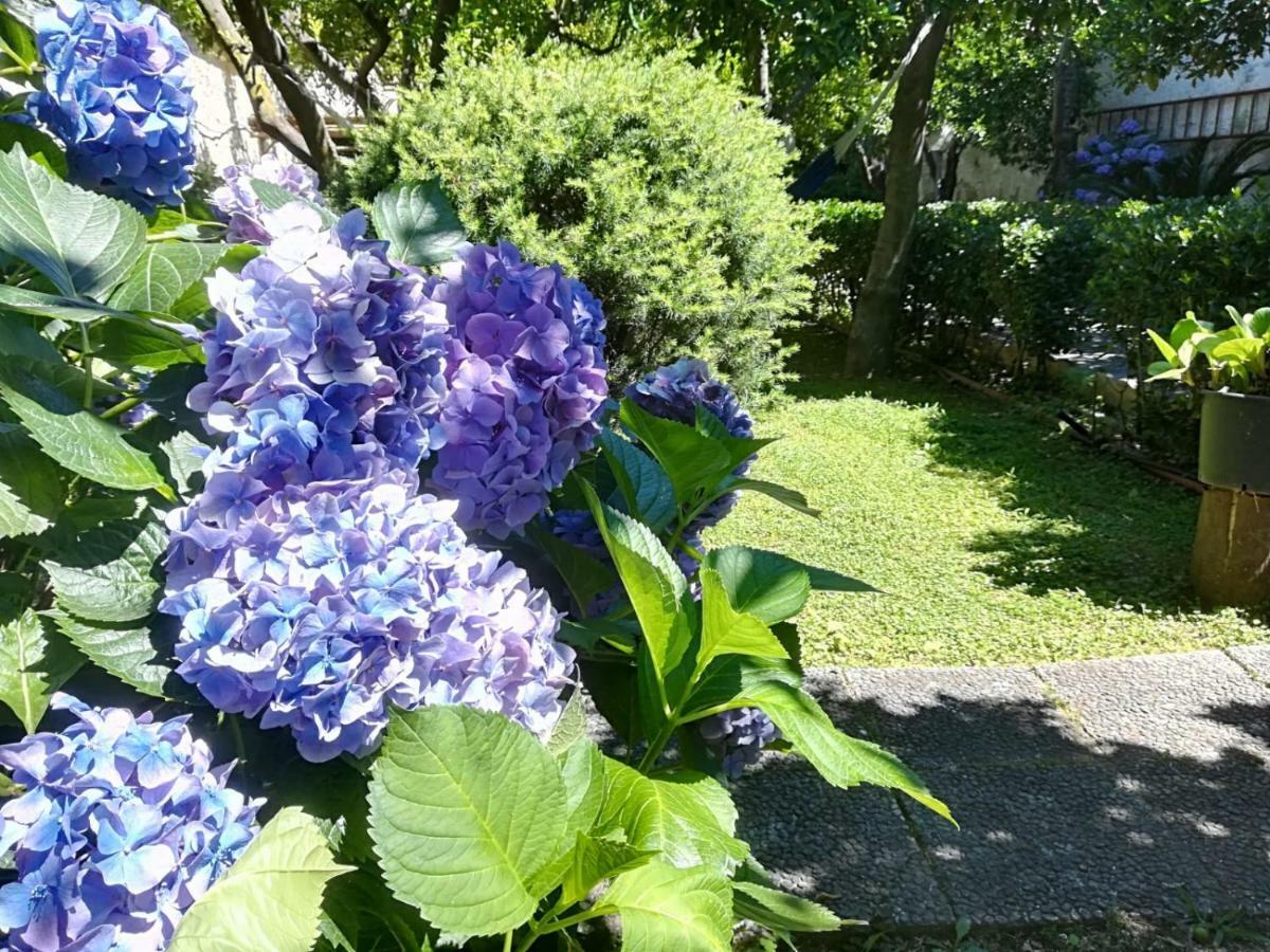 Il Giardino Degli Agrumi Казерта Экстерьер фото